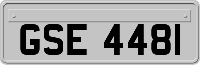 GSE4481