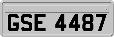 GSE4487