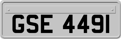 GSE4491