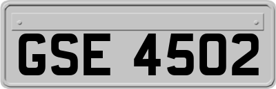 GSE4502