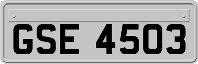 GSE4503