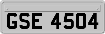 GSE4504