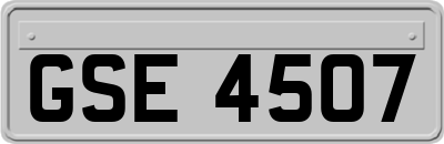 GSE4507