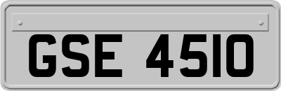 GSE4510