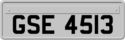 GSE4513