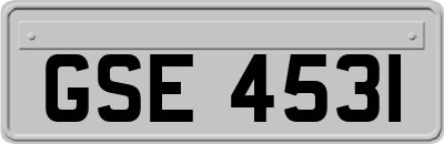GSE4531