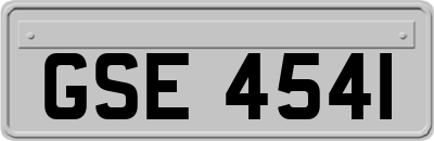 GSE4541