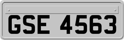 GSE4563