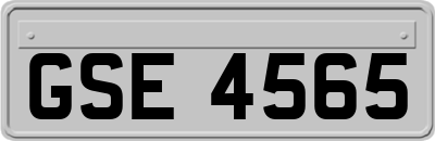 GSE4565