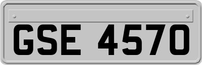 GSE4570