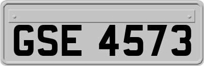 GSE4573