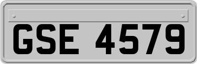 GSE4579