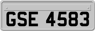 GSE4583