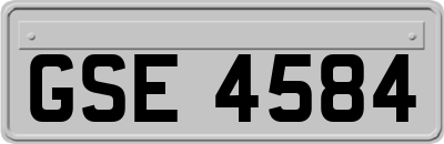 GSE4584