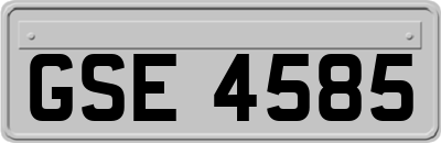 GSE4585