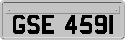 GSE4591
