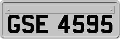 GSE4595