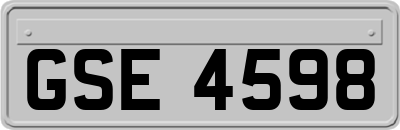 GSE4598