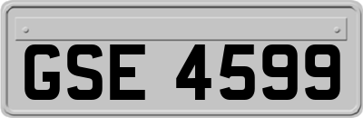 GSE4599