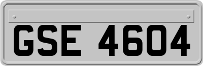 GSE4604