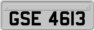 GSE4613