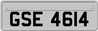 GSE4614