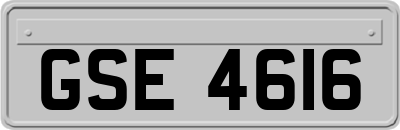 GSE4616