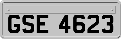 GSE4623