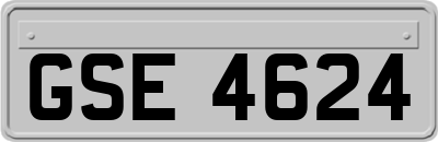 GSE4624