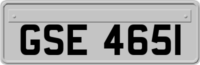 GSE4651