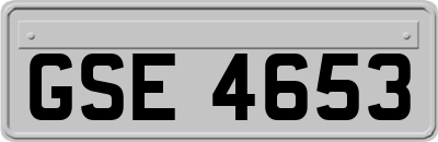 GSE4653