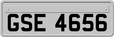 GSE4656