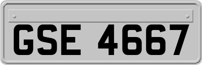 GSE4667