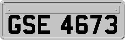 GSE4673