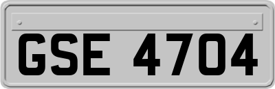 GSE4704