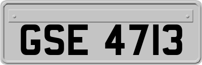 GSE4713