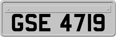 GSE4719