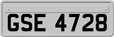 GSE4728