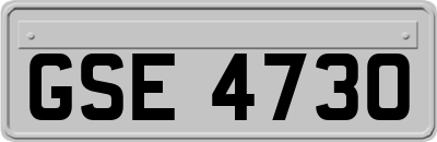 GSE4730
