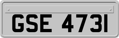 GSE4731