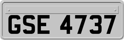 GSE4737