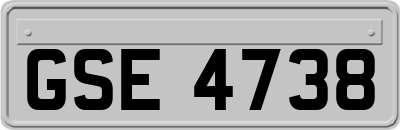 GSE4738