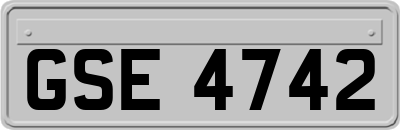 GSE4742