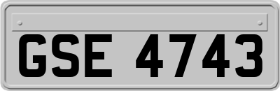 GSE4743