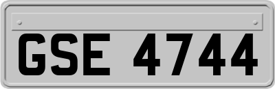 GSE4744