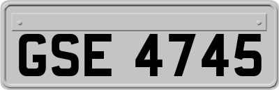 GSE4745