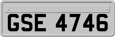 GSE4746