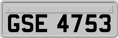 GSE4753