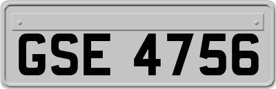 GSE4756