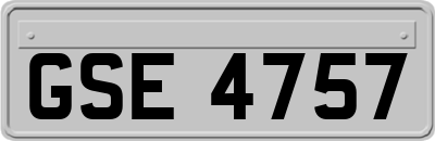 GSE4757
